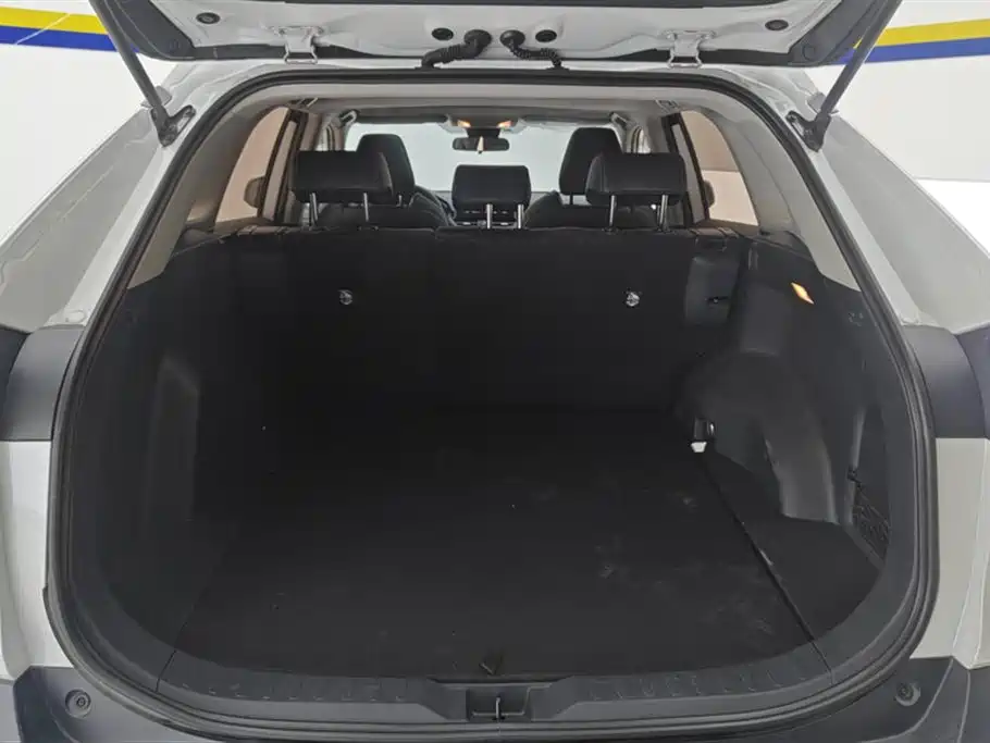 Wildlander 2.0 L CVT 2 WD Luxury PLUS