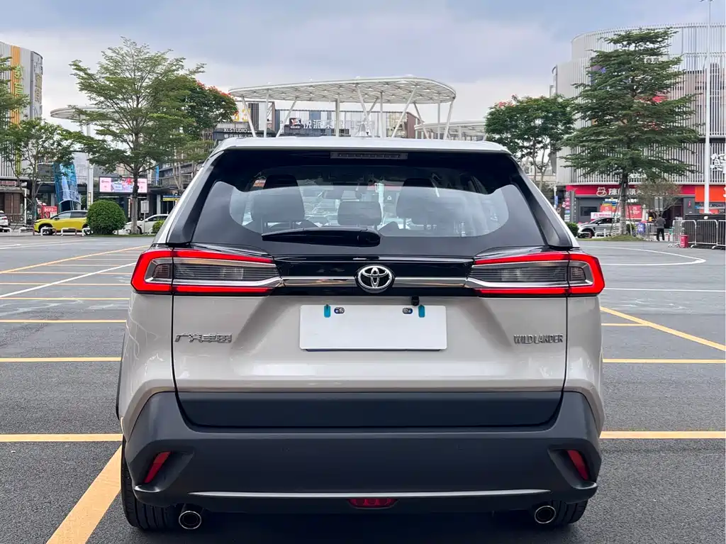 Wildlander 2.0 L CVT 2 WD Leading