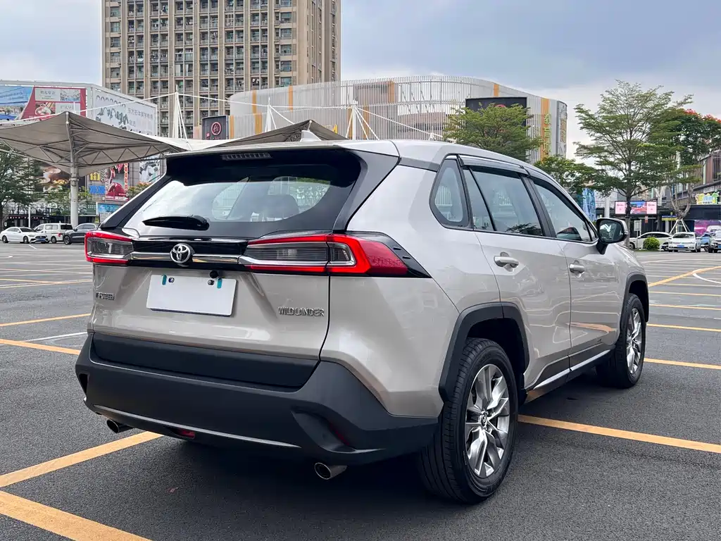 Wildlander 2.0 L CVT 2 WD Leading