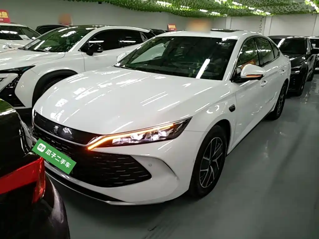Qin L DM-i Smart Drive 120 KM Transcend