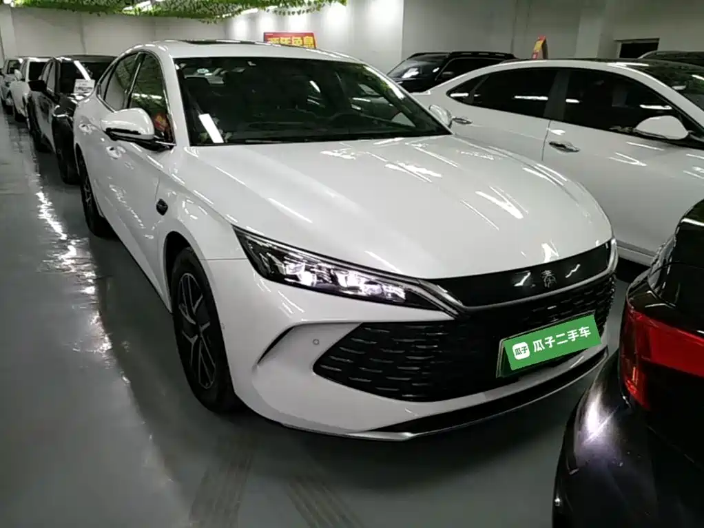 Qin L DM-i Smart Drive 120 KM Transcend