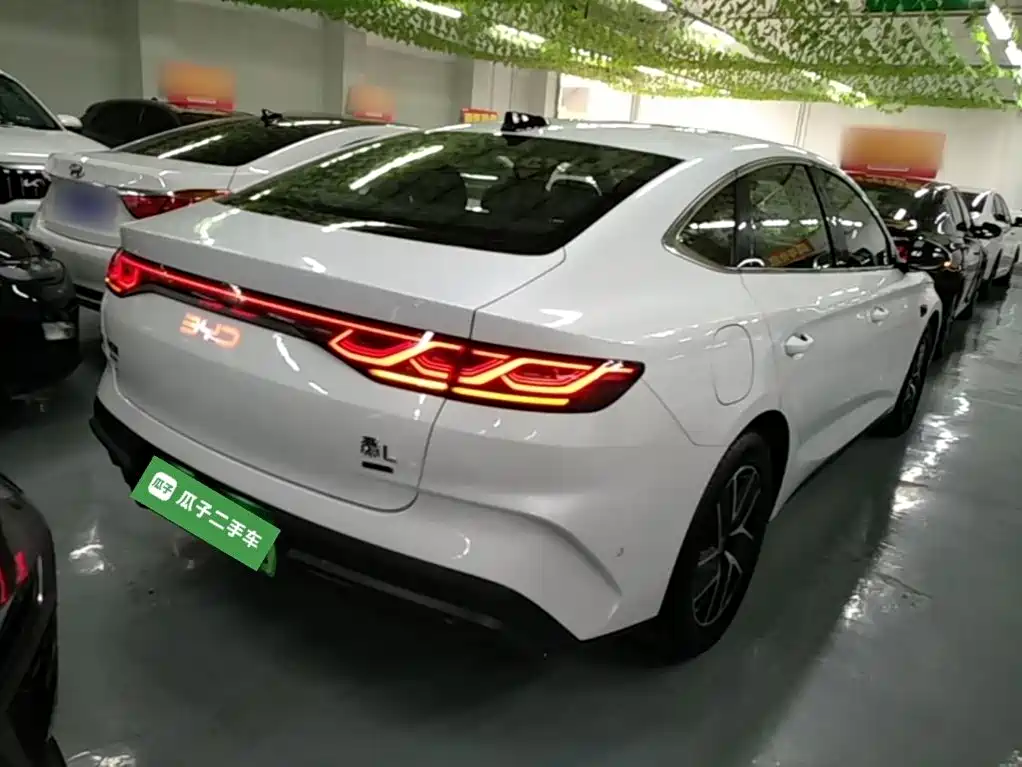 Qin L DM-i Smart Drive 120 KM Transcend