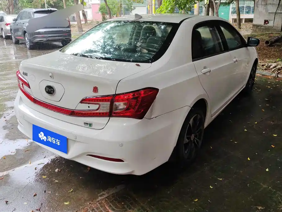 Qin NEV 1.5 T Dual Crown Flagship Plus