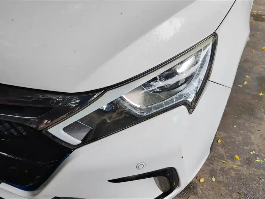 Qin NEV 1.5 T Dual Crown Flagship Plus