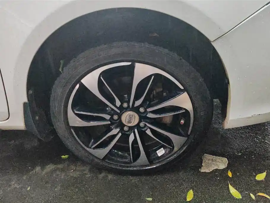 Qin NEV 1.5 T Dual Crown Flagship Plus