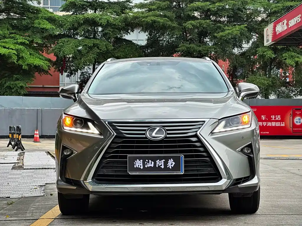 Lexus RX 300 2 WD Elite CN-V