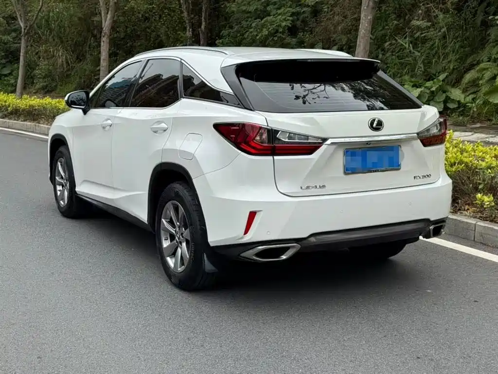 Lexus RX 300 2 WD Elite CN-VI