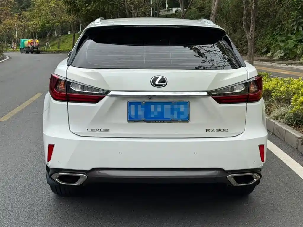 Lexus RX 300 2 WD Elite CN-VI