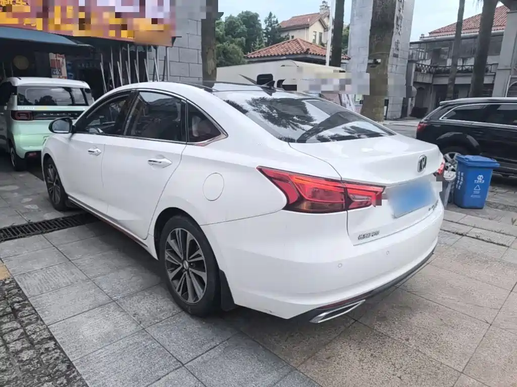 Ruicheng CC Blue Whale 1.5 T DCT Distinguished