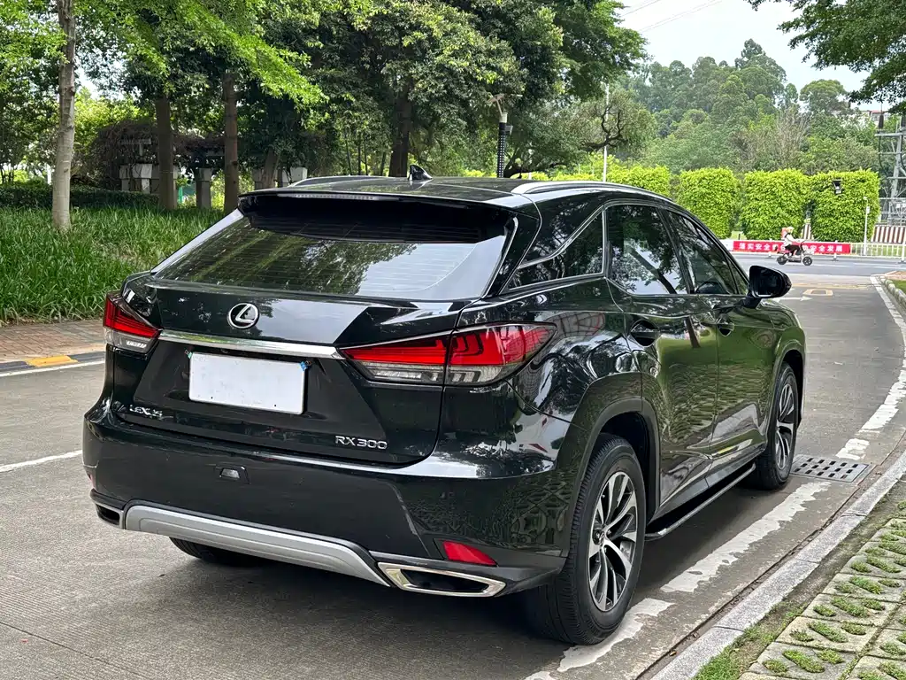 Lexus RX Facelift 300 2 WD Elite