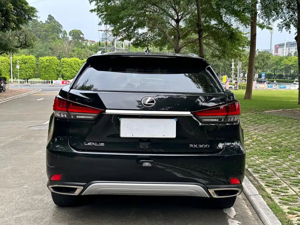 Lexus RX Facelift 300 2 WD Elite