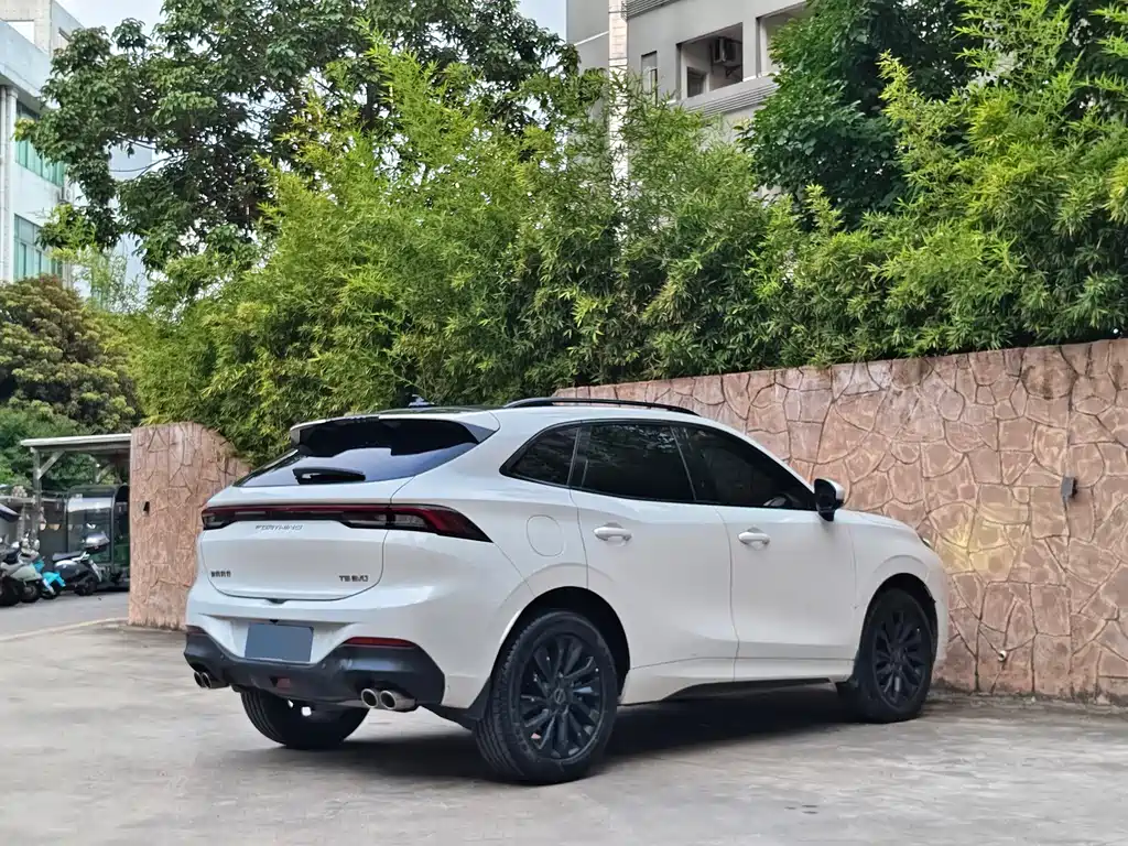 Fengxing T5 EVO 1.5 TD DCT Diamond