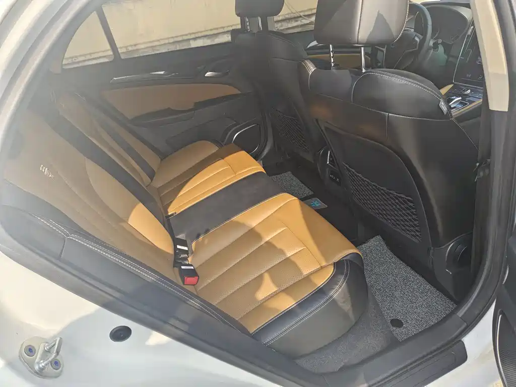 Qin NEV 秦新能源 2018款 1.5 T 智联尊贵型