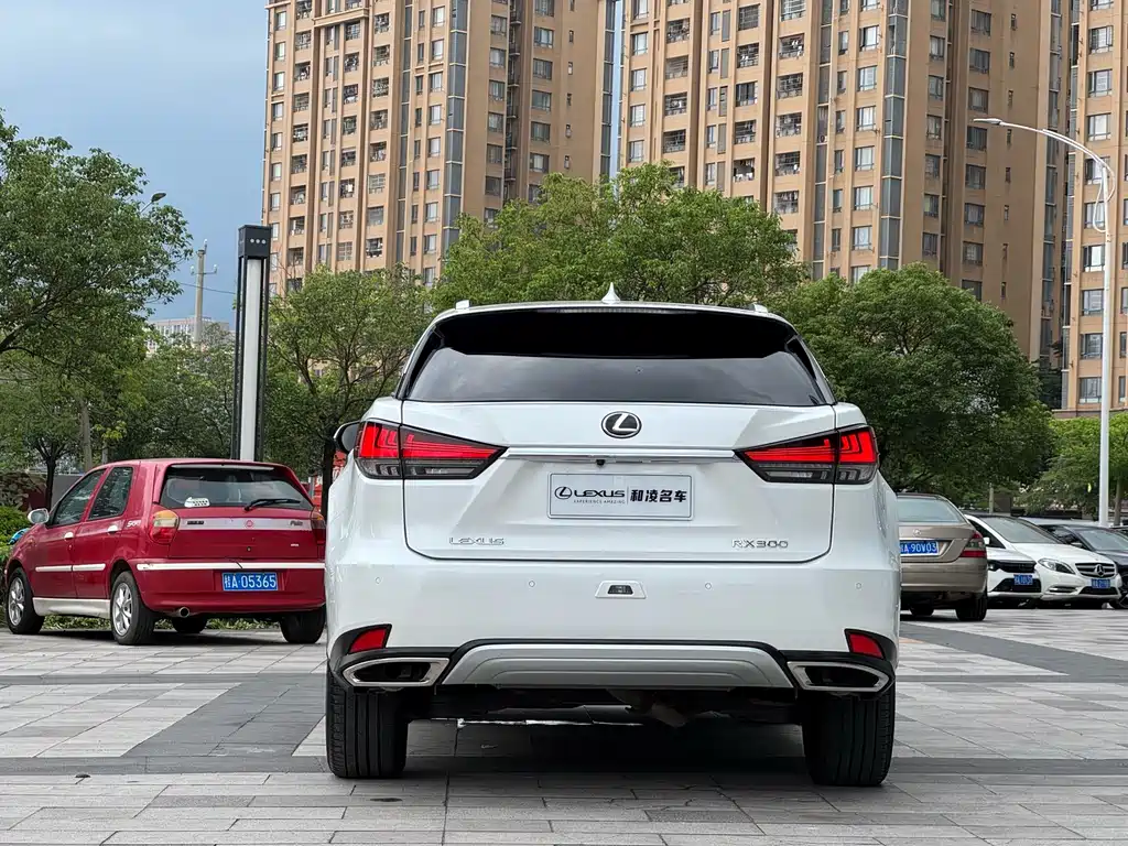 Lexus RX 300 4 WD Elegant CN-V