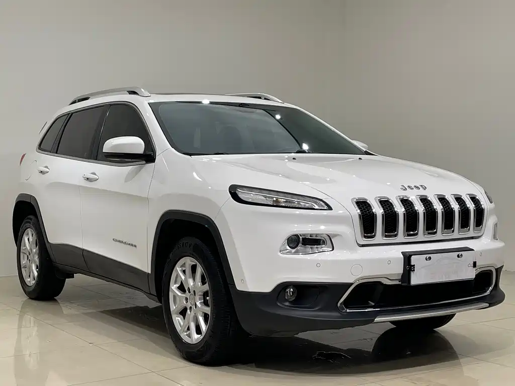Cherokee 2.4 L Professional
