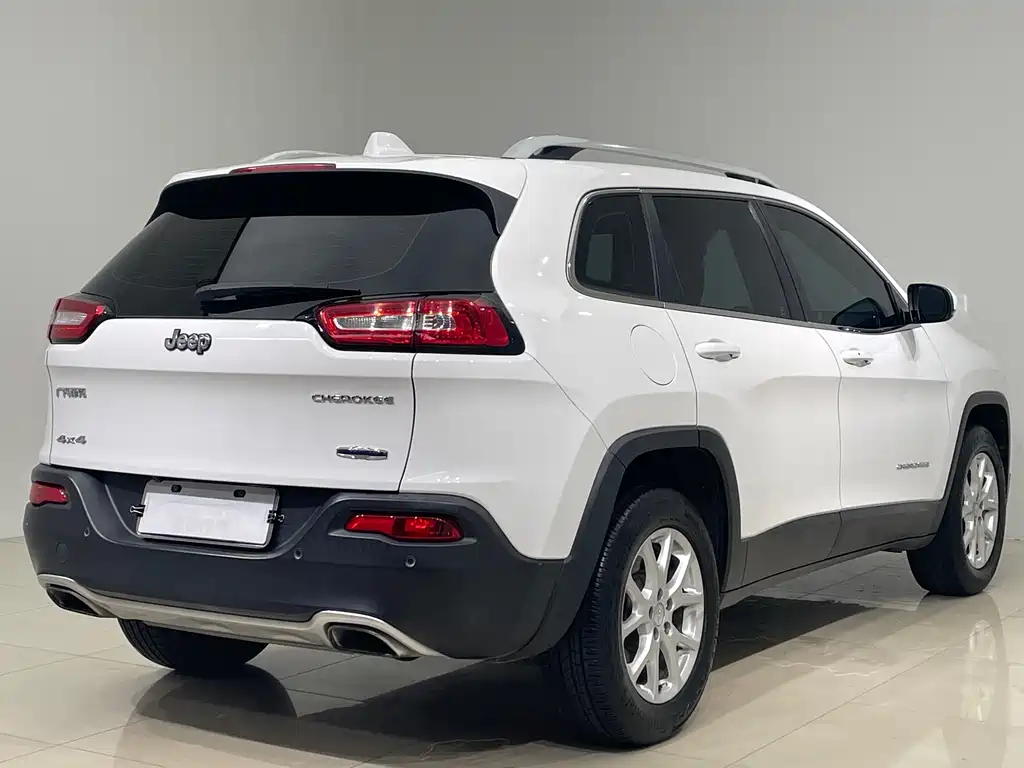 Cherokee 2.4 L Professional