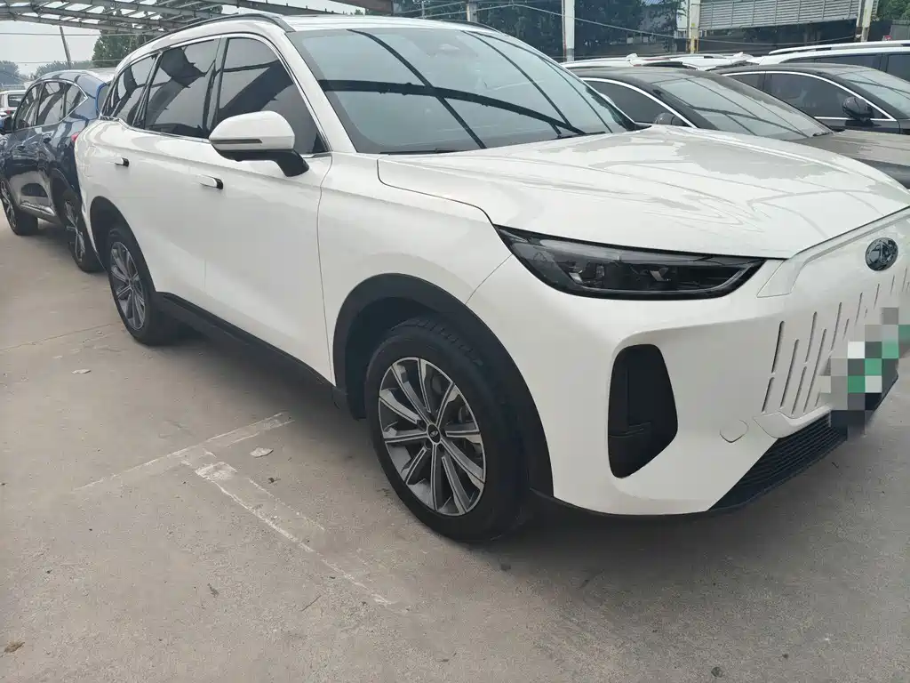 Fengyun T9 120 Long Range Comfort 5-seat Ternary Lithium