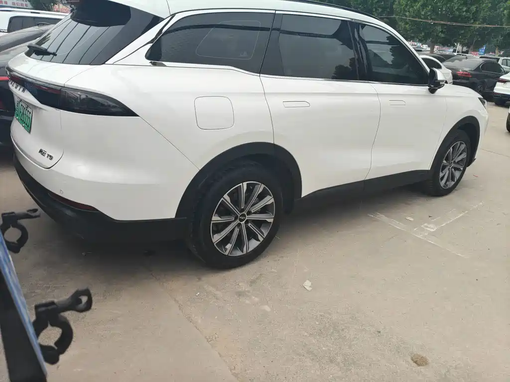 Fengyun T9 120 Long Range Comfort 5-seat Ternary Lithium