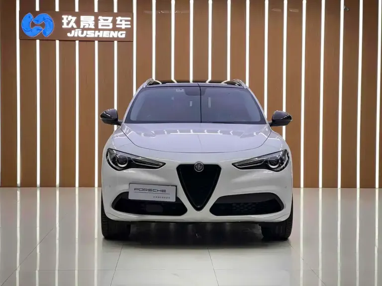 Alfa Romeo Stelvio 2.0 T 200 HP Elite
