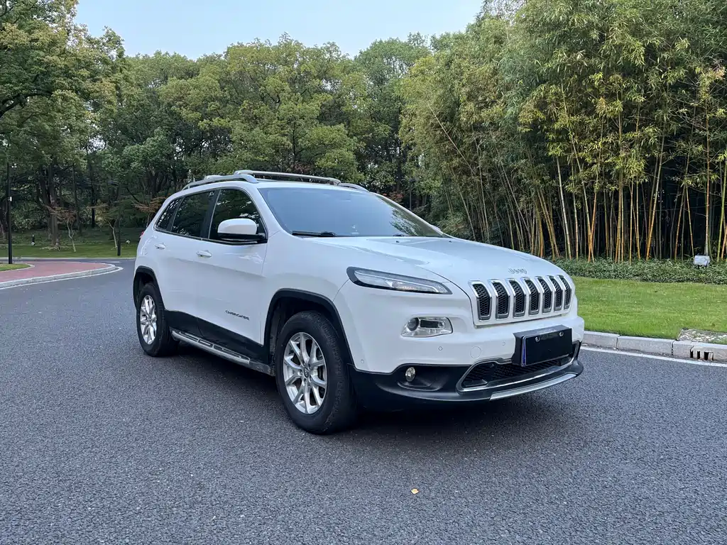 Cherokee 2.4 L Professional