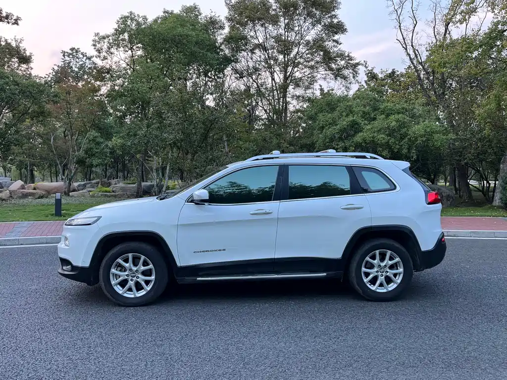 Cherokee 2.4 L Professional