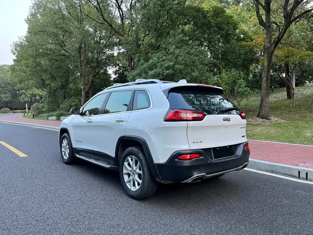Cherokee 2.4 L Professional