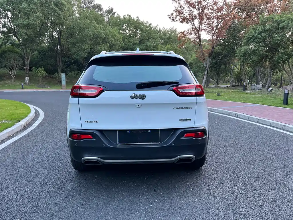 Cherokee 2.4 L Professional