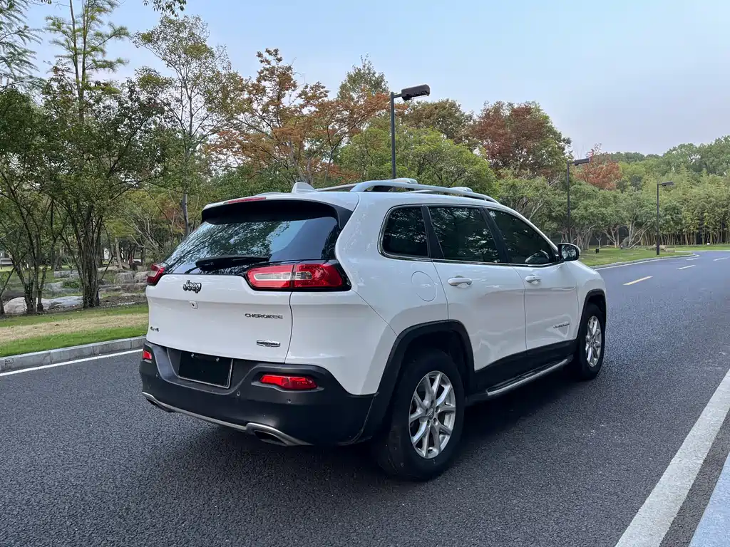 Cherokee 2.4 L Professional