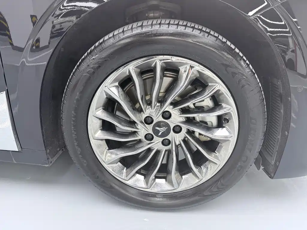 Voyah Dreamer PHEV Ultra Long Range Flagship