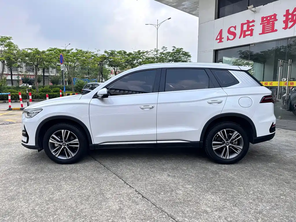 Song Pro NEV DM-i 51 km Luxury