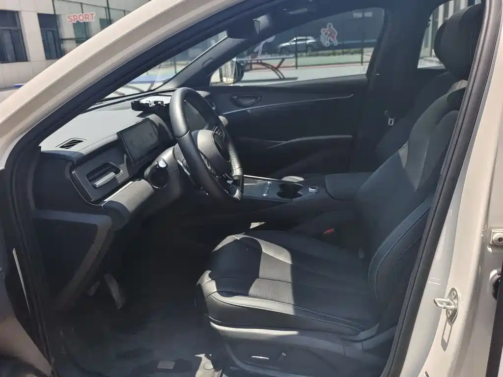 Seal 06 DM-i Wagon DM-i 150 KM Premium