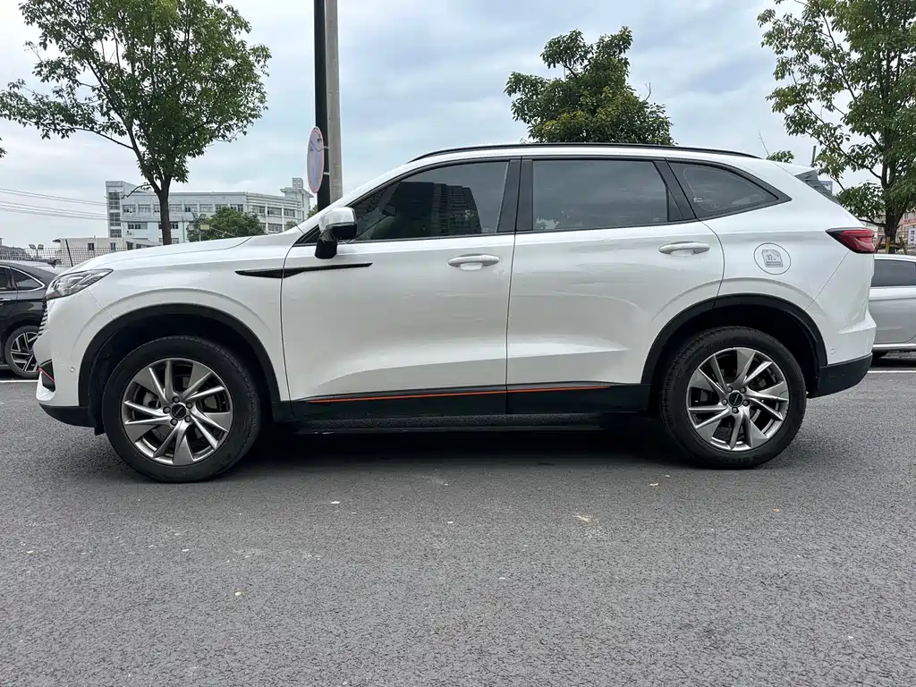 Haval H6 China Style 1.5 T Auto Urban