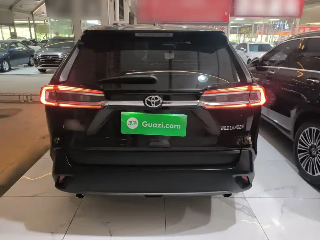 Wildlander 2.0 L CVT 2 WD Leading