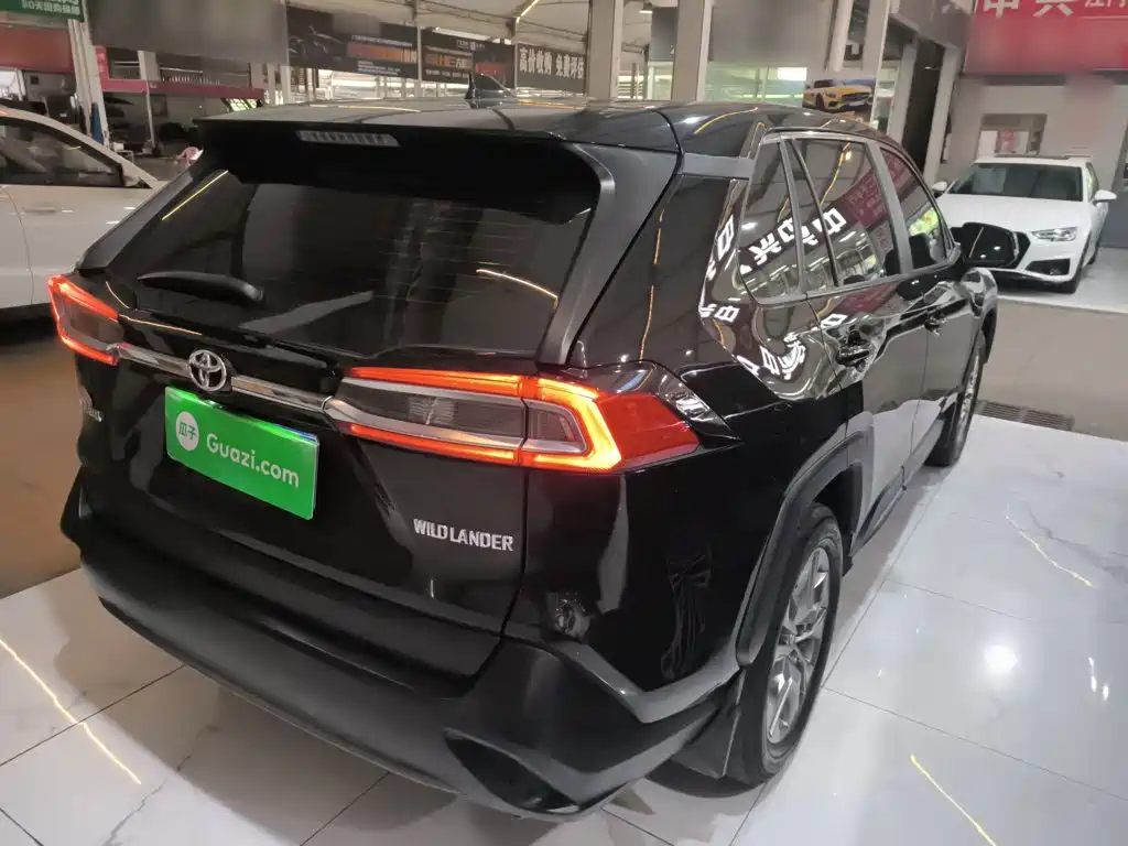 Wildlander 2.0 L CVT 2 WD Leading