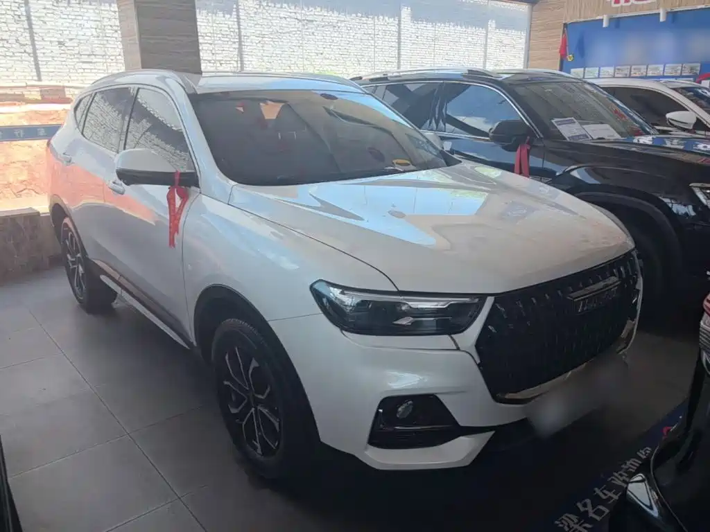 Haval H6 China Style 1.5 T Auto Urban