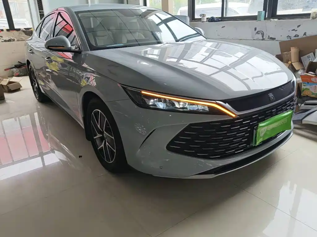 Qin L DM-i 80 KM Transcend