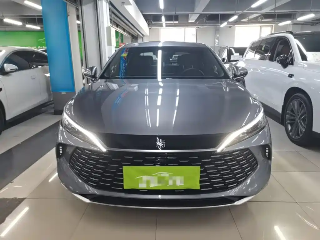 Qin L DM-i Smart Drive 120 KM Transcend
