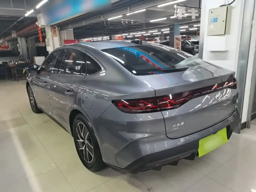 Qin L DM-i Smart Drive 120 KM Transcend