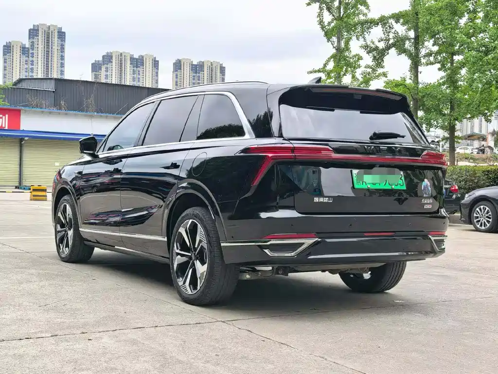 WEY Blue Mountain 4 WD Max