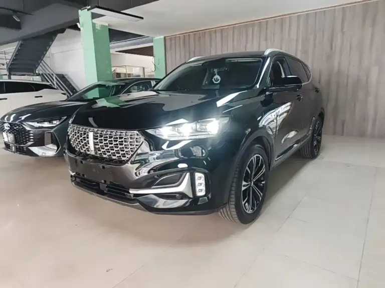 WEY VV6 魏牌 VV6 2020款 2.0 T 两驱智悦+