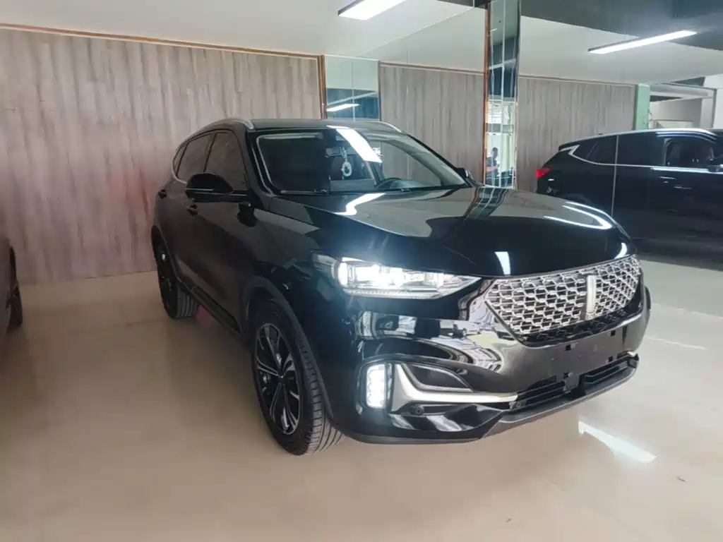 WEY VV6 魏牌 VV6 2020款 2.0 T 两驱智悦+
