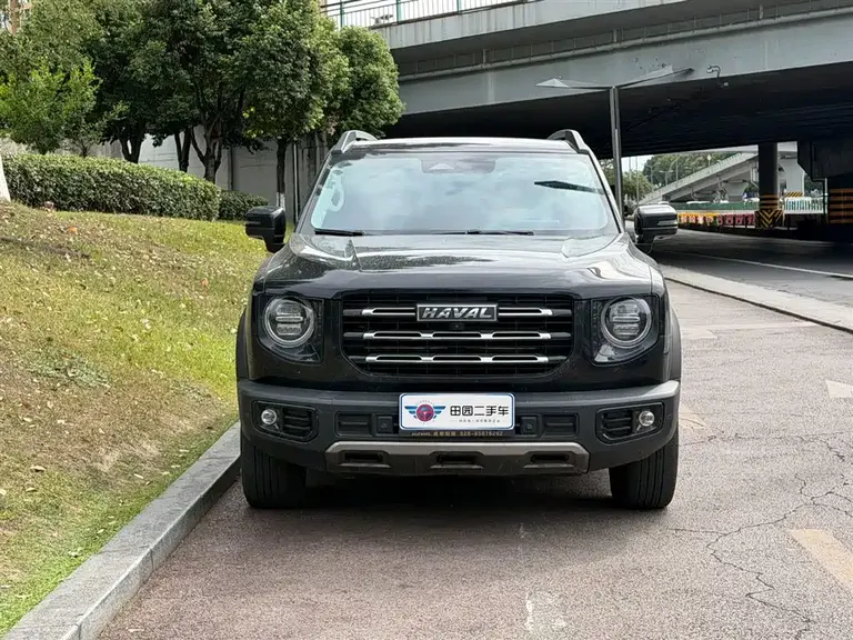 Haval Dargo 2.0 T DCT 4 WD Brilliance Country Dog