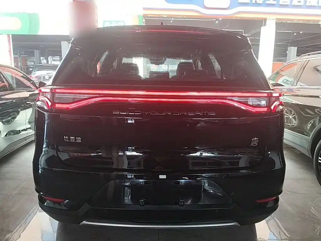 Tang 2.0 T Auto Flagship