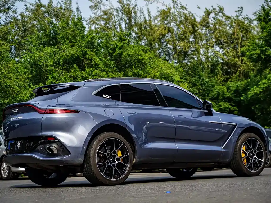 Aston Martin DBX 4.0 T V8 Return to Nature Realm