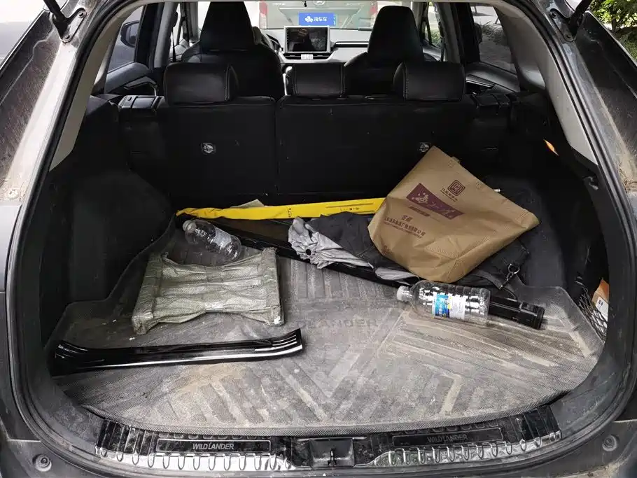 Wildlander 2.0 L CVT 2 WD Leading