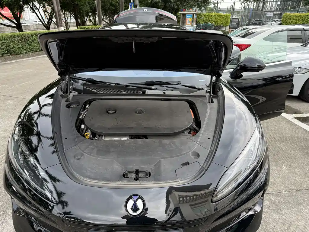Denza Z9 1100 km 4 WD Max