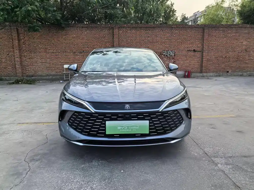 Qin L DM-i Smart Drive 120 KM Transcend