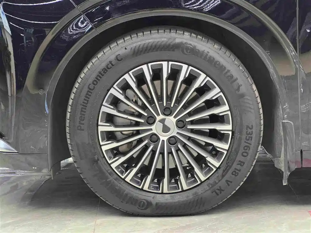 Denza D9 DM-i 970 4 WD Flagship
