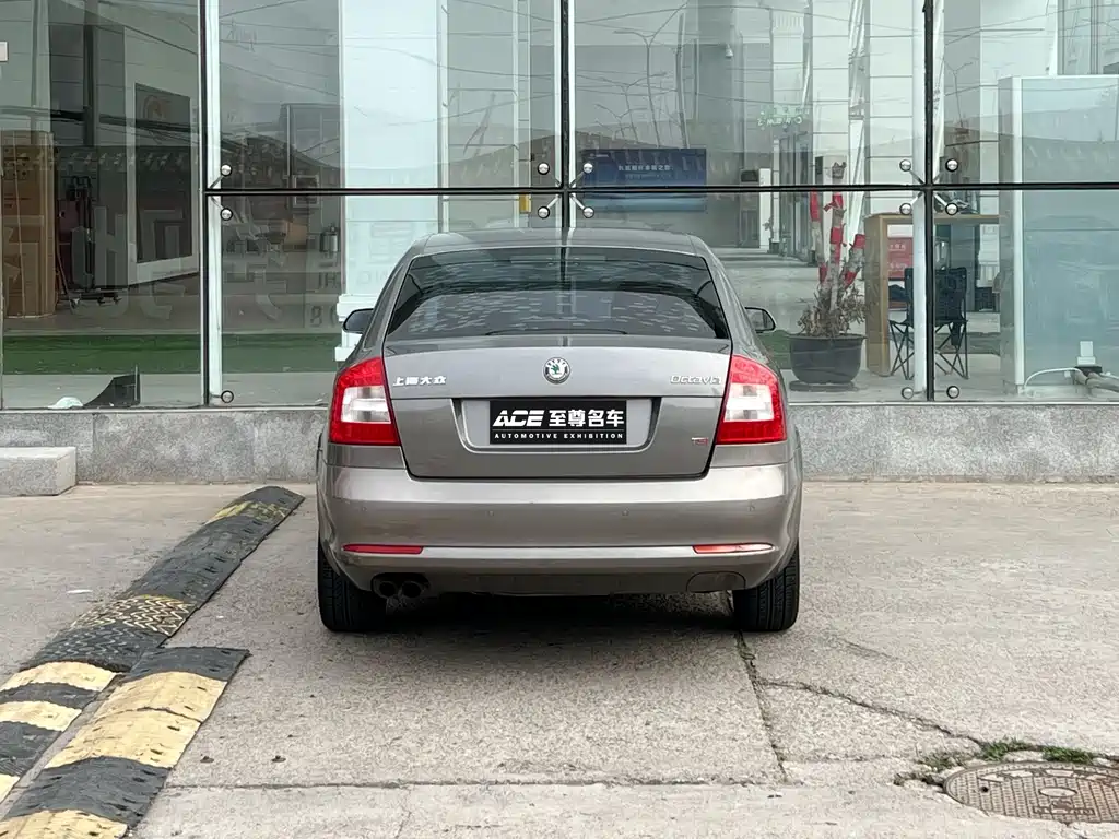 Octavia 1.8 TSI DSG Elegant