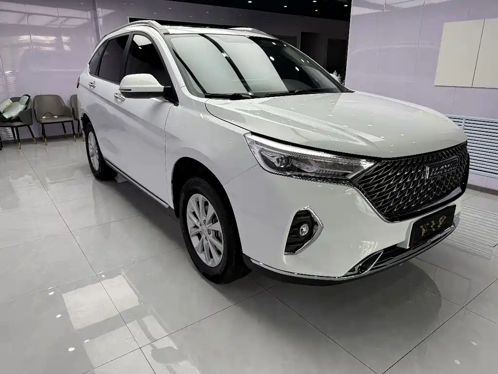 Haval M6 PLUS 1.5 T DCT Luxury Connected